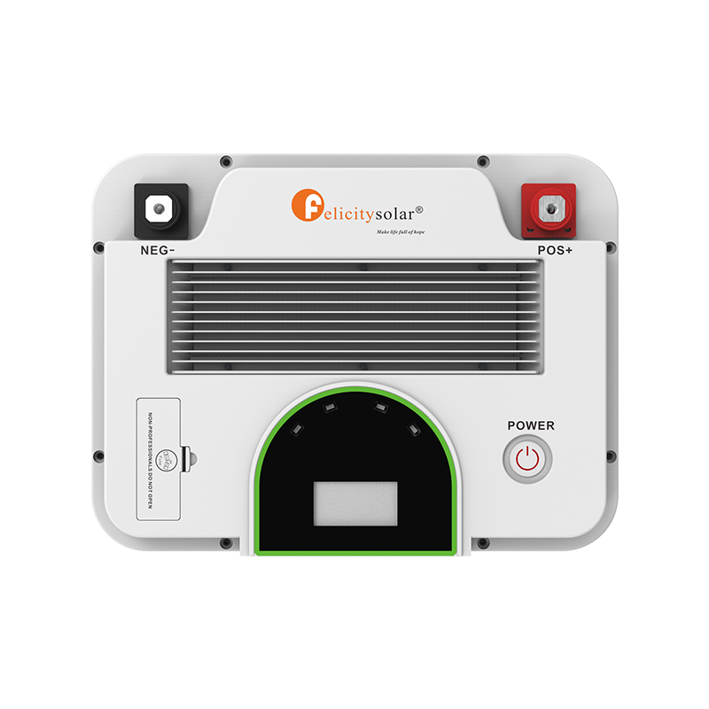 FELICITY 2.56KWh LITHIUM BATTERY (12V) - Image 3