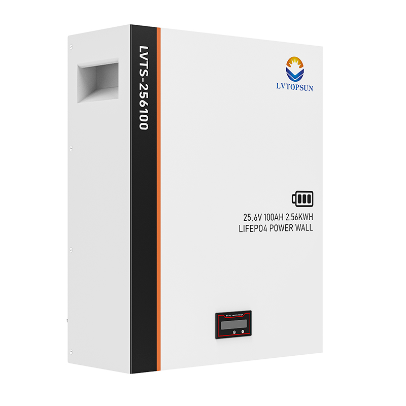 LVTOPSUN 2.56KWH LITHIUM BATTERY (24V) - Image 3